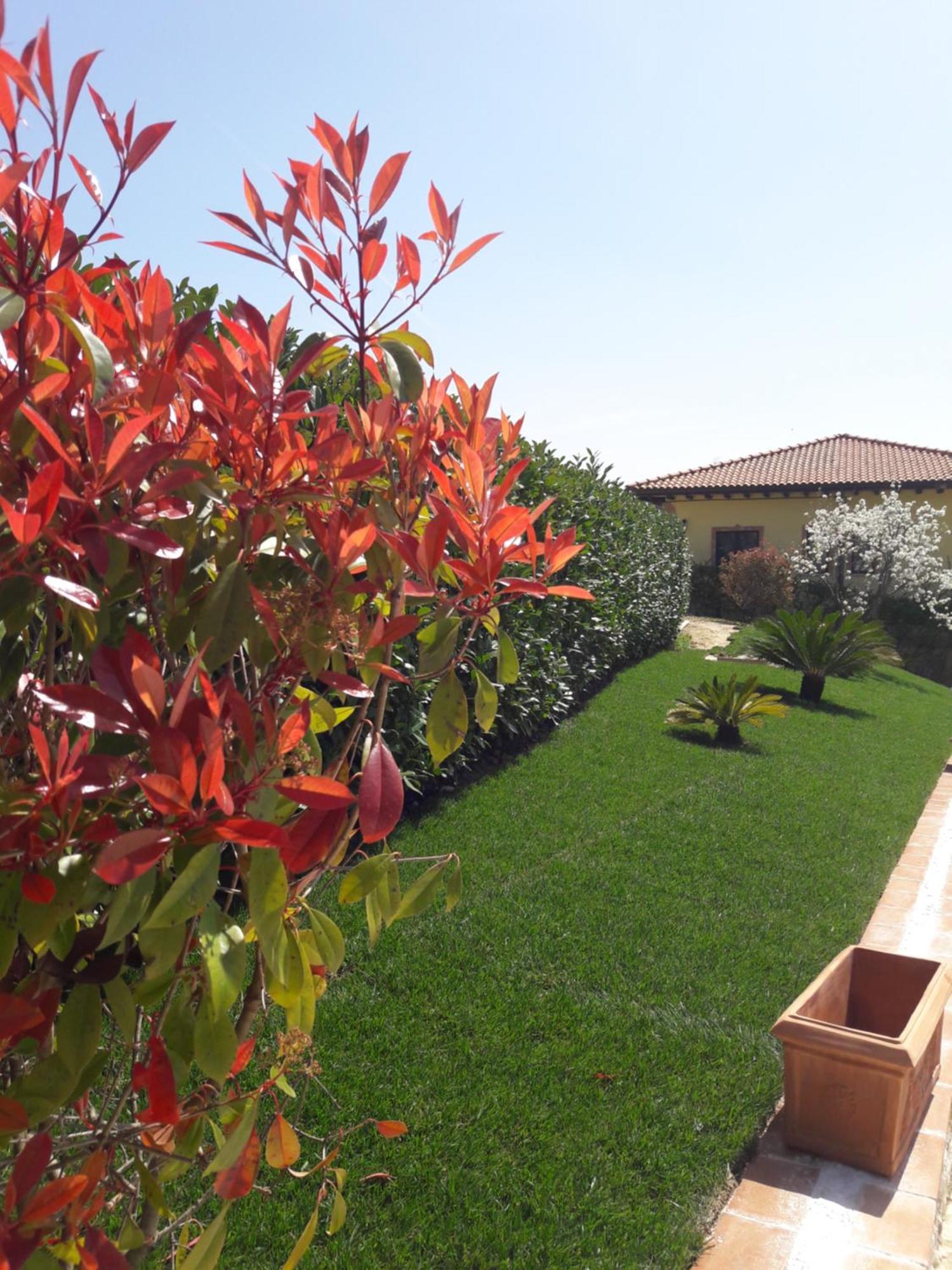 Tenuta La Ginestra Ornaro Bagian luar foto